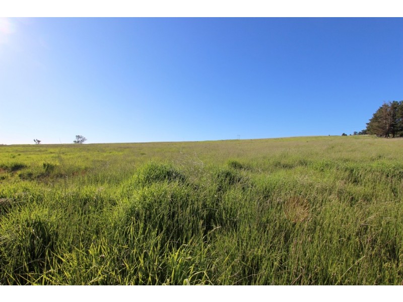 795 Sofala Road, Laffing Waters NSW 2795