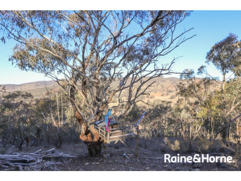 263 Killongbutta Road, Killongbutta NSW 2795
