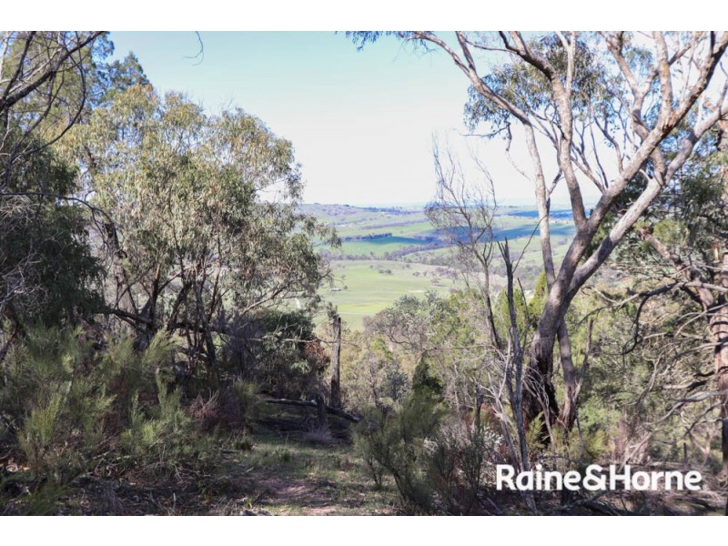 32 Pine Ridge Road, Rock Forest NSW 2795