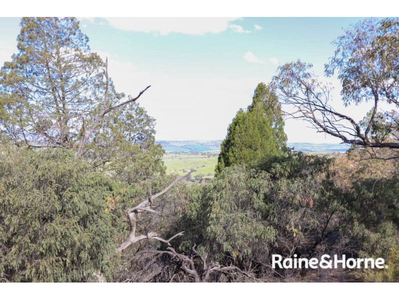 32 Pine Ridge Road, Rock Forest NSW 2795