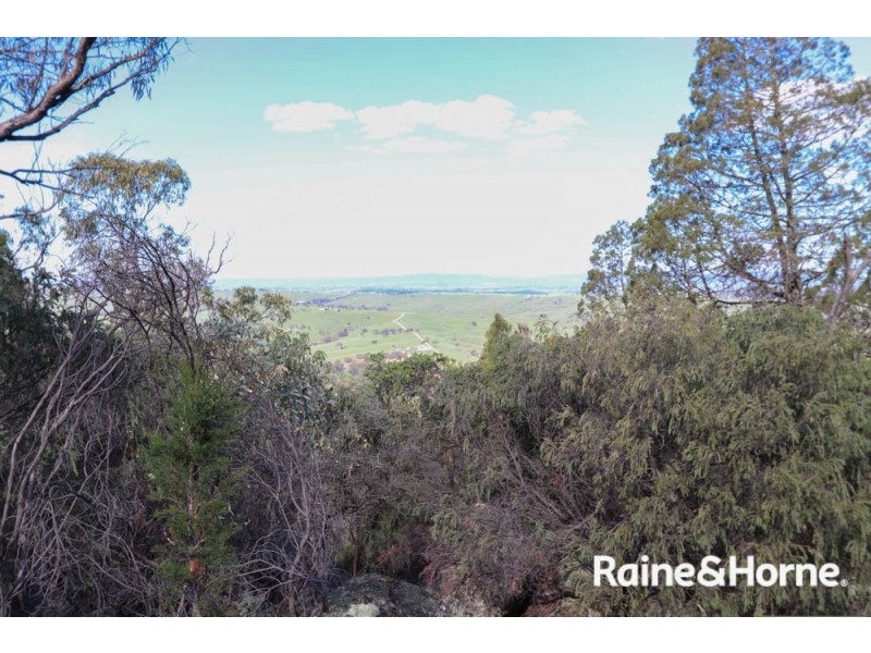 32 Pine Ridge Road, Rock Forest NSW 2795