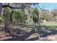 32 Pine Ridge Road, Rock Forest NSW 2795