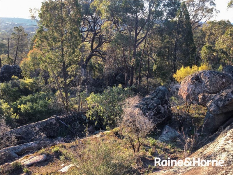 32 Pine Ridge Road, Rock Forest NSW 2795