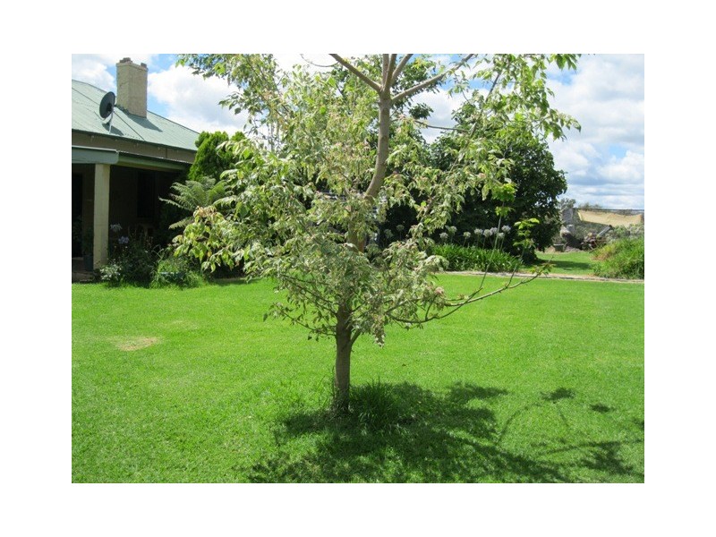 88 Turondale Road, Bathurst NSW 2795