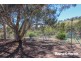 1477 Freemantle Road, Watton NSW 2795