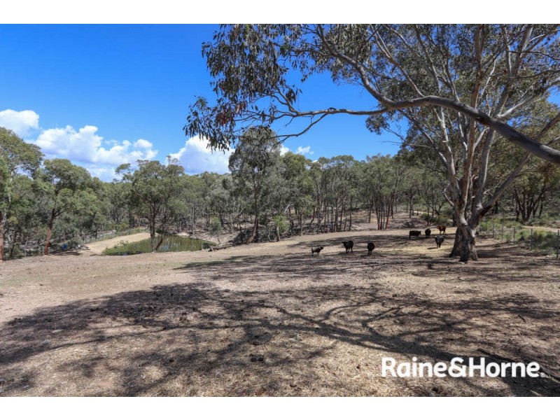 308 Billywillinga Road, Billywillinga NSW 2795