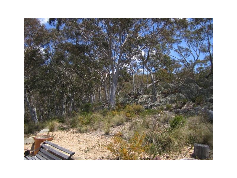 824 Rockley Road, Bathurst NSW 2795