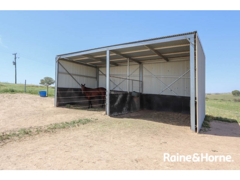 45 Marion Close, Wimbledon NSW 2795