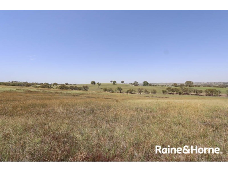 45 Marion Close, Wimbledon NSW 2795