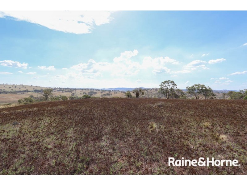 211 Pine Ridge Road, Rock Forest NSW 2795