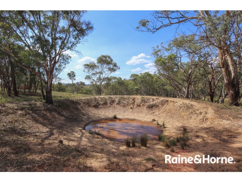 211 Pine Ridge Road, Rock Forest NSW 2795