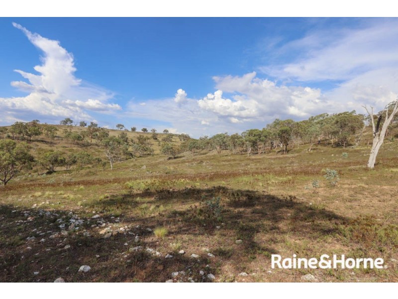 211 Pine Ridge Road, Rock Forest NSW 2795