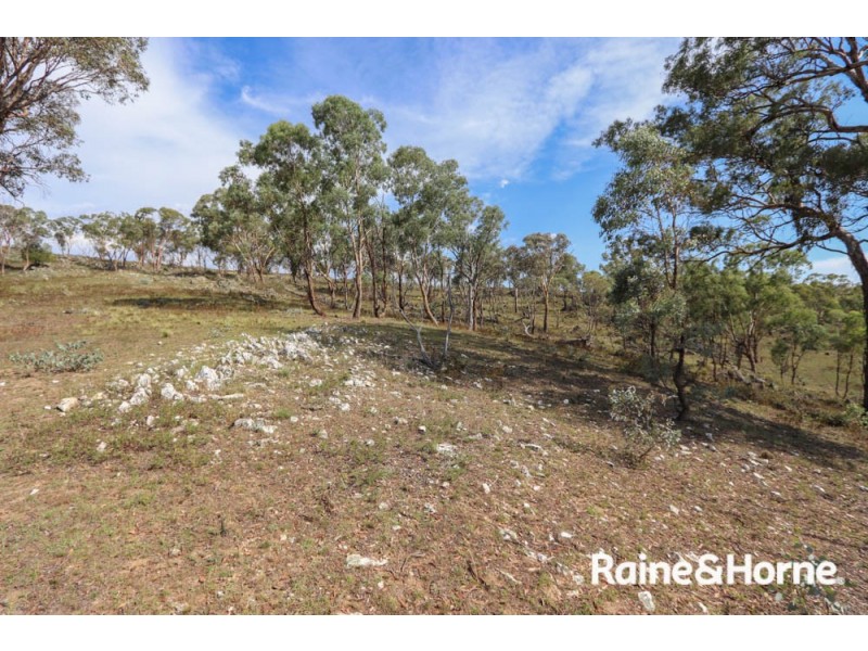 211 Pine Ridge Road, Rock Forest NSW 2795