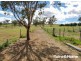184 Turondale Road, Duramana NSW 2795