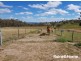 184 Turondale Road, Duramana NSW 2795