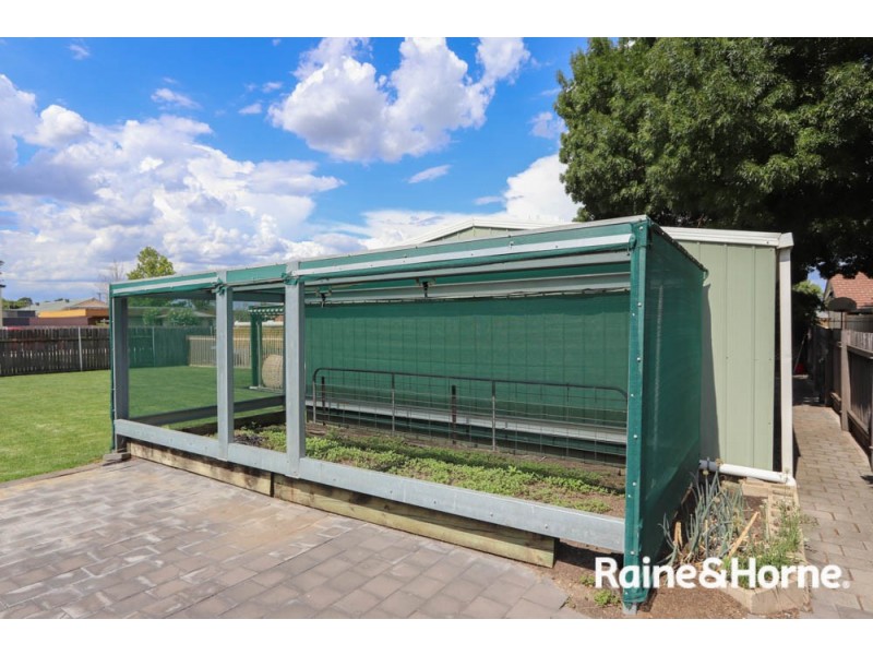 19 Hamilton Street, Eglinton NSW 2795