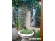 97 Taylor Street, Eglinton NSW 2795