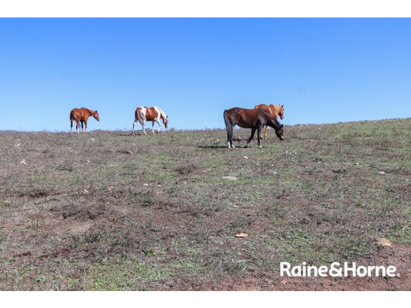 98 McIntosh Road, Freemantle NSW 2795