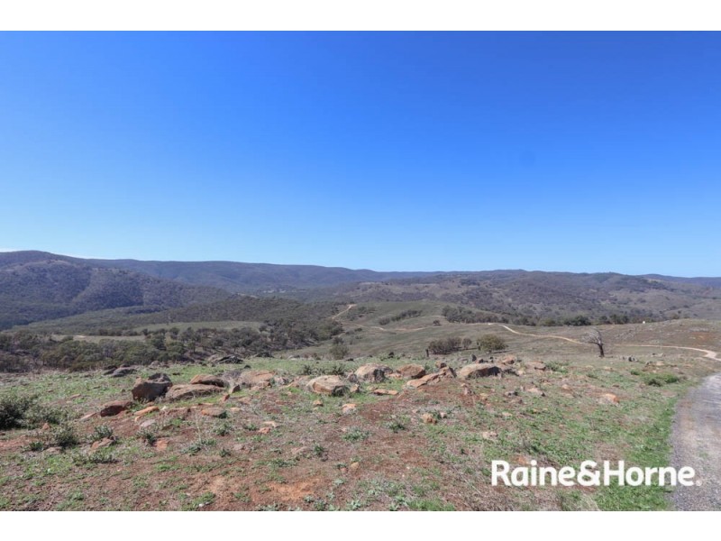 98 McIntosh Road, Freemantle NSW 2795
