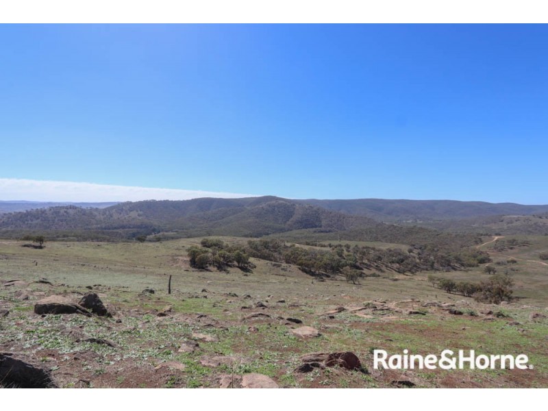 98 McIntosh Road, Freemantle NSW 2795