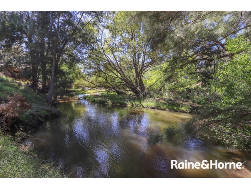 98 McIntosh Road, Freemantle NSW 2795