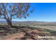 98 McIntosh Road, Freemantle NSW 2795