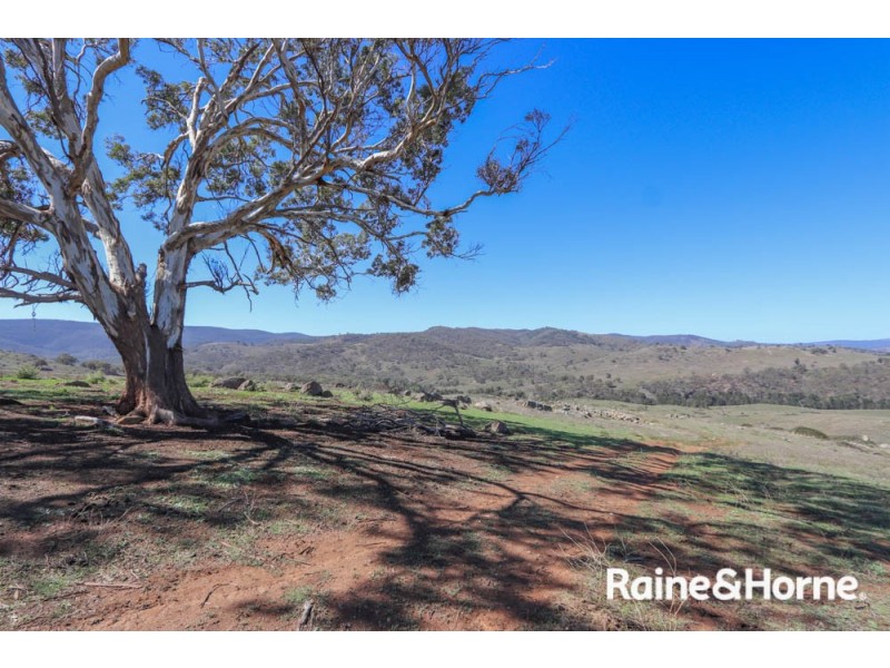 98 McIntosh Road, Freemantle NSW 2795