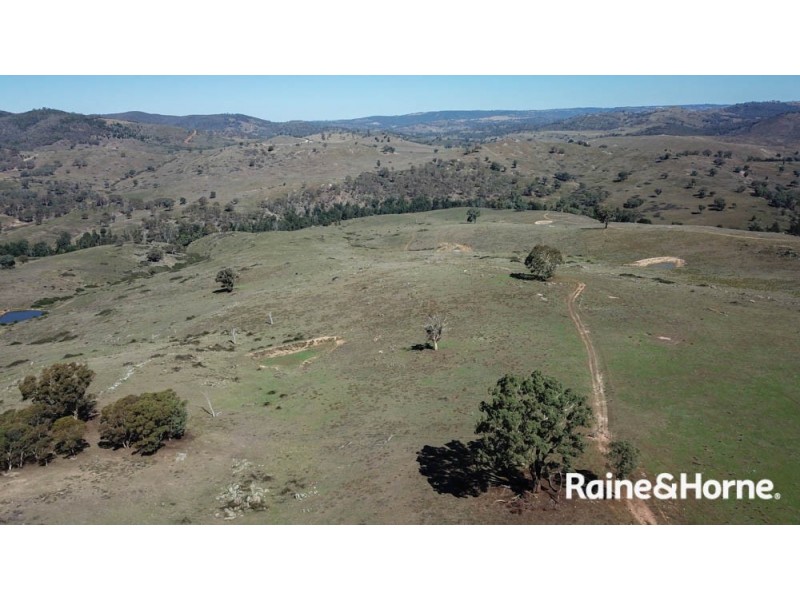 98 McIntosh Road, Freemantle NSW 2795