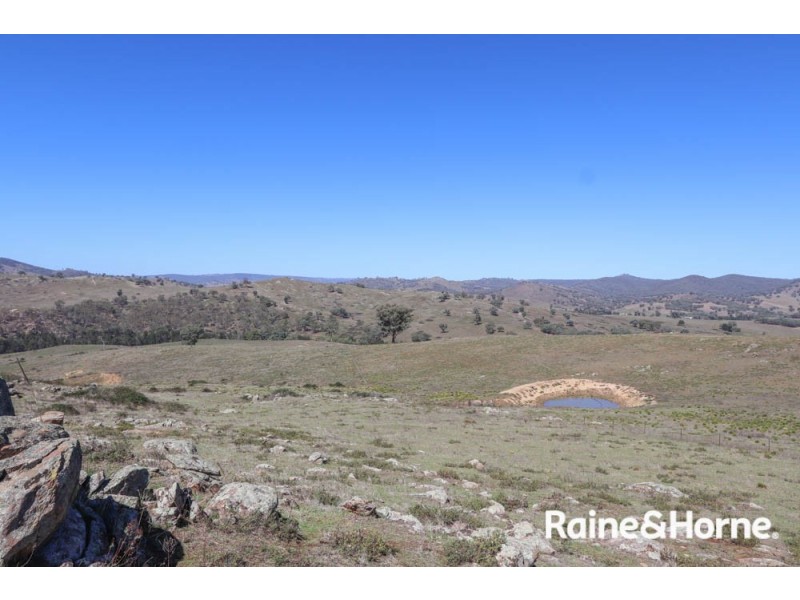 98 McIntosh Road, Freemantle NSW 2795