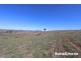 98 McIntosh Road, Freemantle NSW 2795