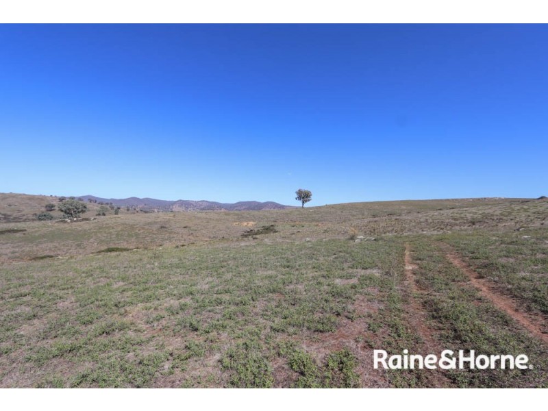 98 McIntosh Road, Freemantle NSW 2795