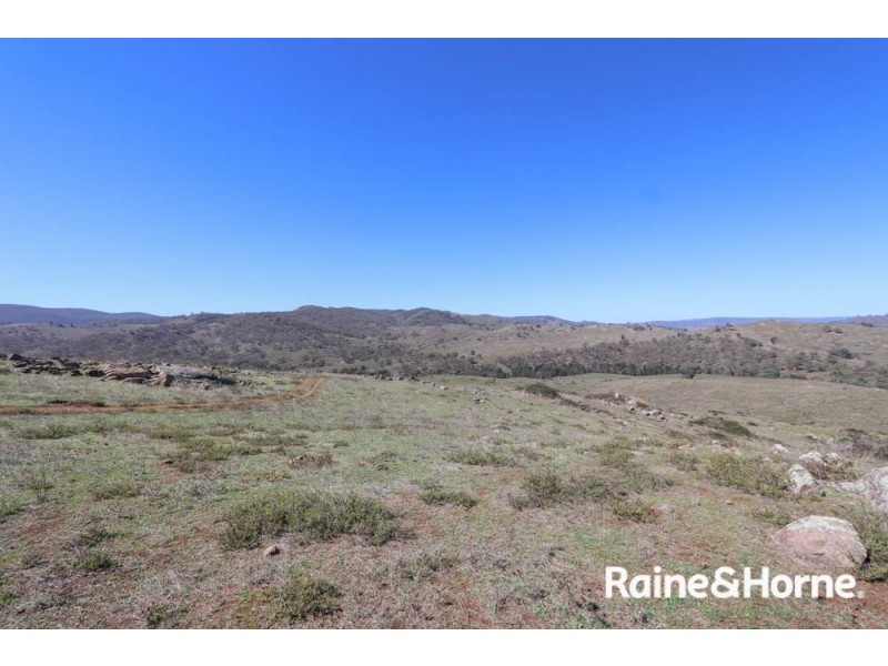98 McIntosh Road, Freemantle NSW 2795