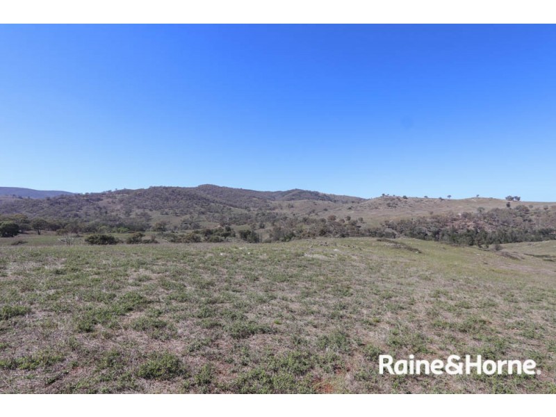 98 McIntosh Road, Freemantle NSW 2795
