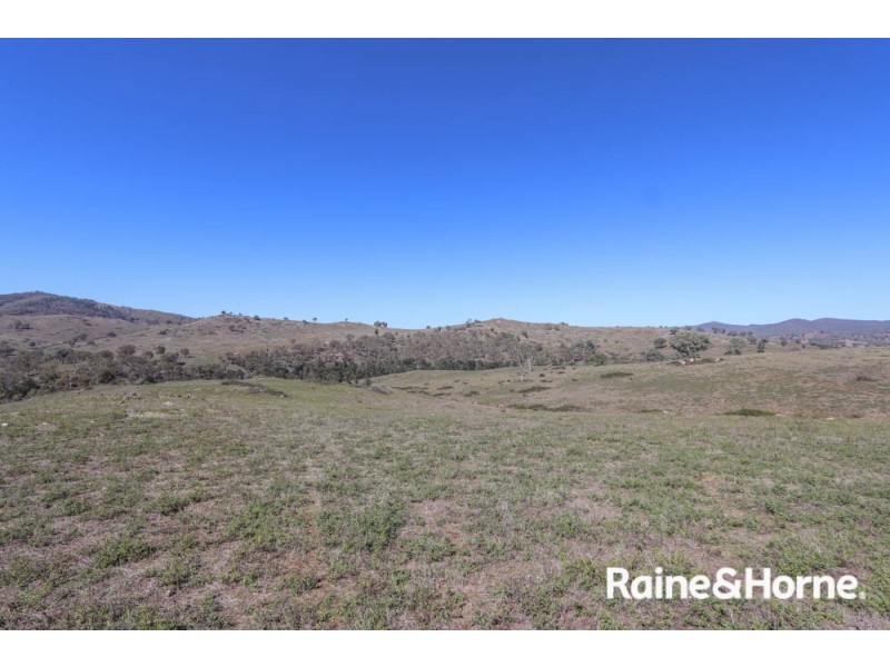 98 McIntosh Road, Freemantle NSW 2795