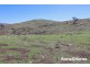 98 McIntosh Road, Freemantle NSW 2795