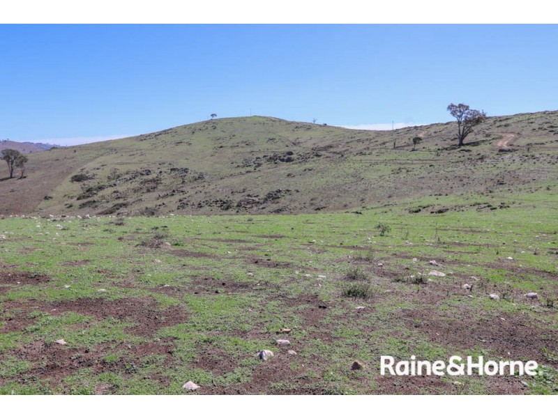 98 McIntosh Road, Freemantle NSW 2795