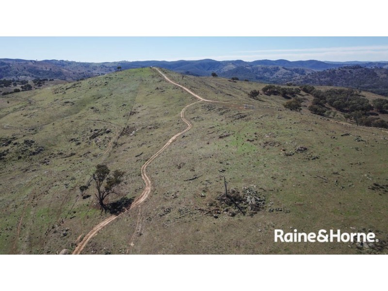 98 McIntosh Road, Freemantle NSW 2795