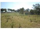 125 Billywillinga Road, Billywillinga NSW 2795