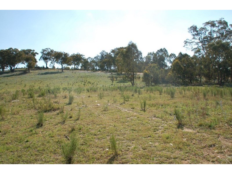 125 Billywillinga Road, Billywillinga NSW 2795