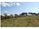 125 Billywillinga Road, Billywillinga NSW 2795