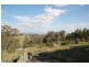 125 Billywillinga Road, Billywillinga NSW 2795