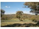 125 Billywillinga Road, Billywillinga NSW 2795
