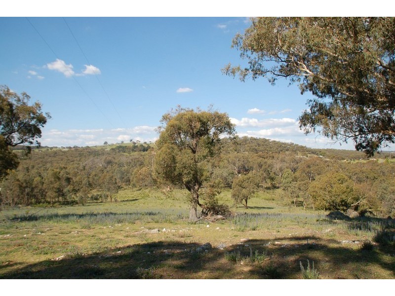 125 Billywillinga Road, Billywillinga NSW 2795