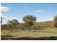 125 Billywillinga Road, Billywillinga NSW 2795