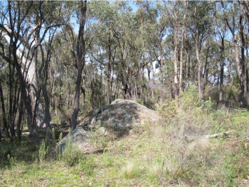 125 Billywillinga Road, Billywillinga NSW 2795