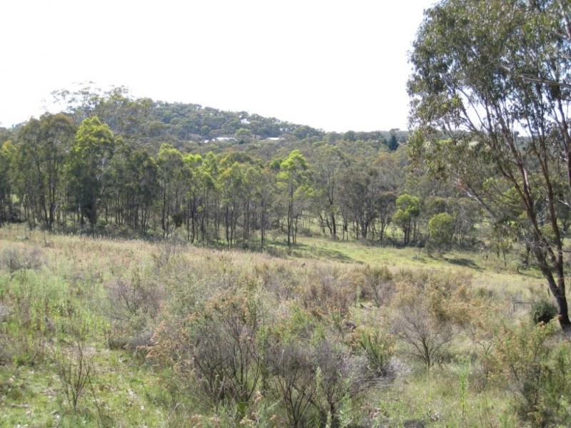 125 Billywillinga Road, Billywillinga NSW 2795