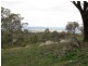125 Billywillinga Road, Billywillinga NSW 2795