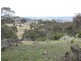 125 Billywillinga Road, Billywillinga NSW 2795