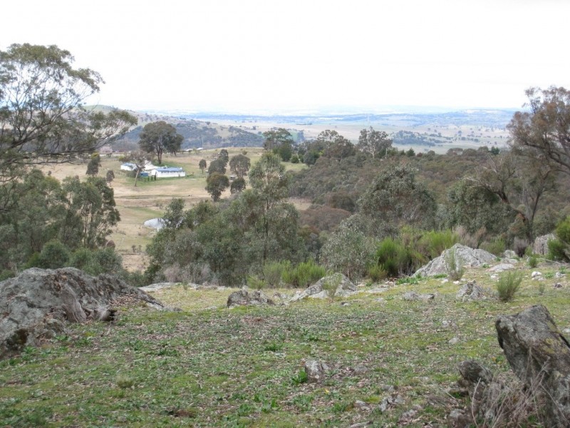 125 Billywillinga Road, Billywillinga NSW 2795