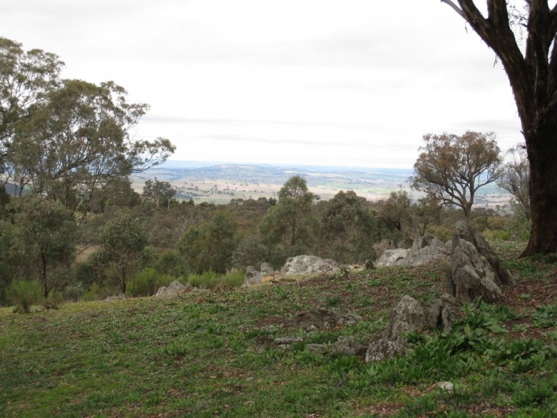 125 Billywillinga Road, Billywillinga NSW 2795